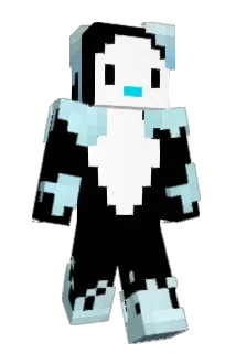 metinxd Minecraft avatar full body