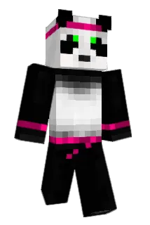 metroninja Minecraft avatar full body