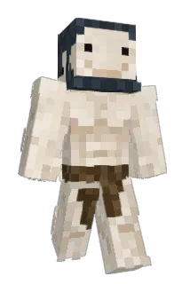 meuconsorcio Minecraft avatar full body
