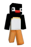 mey55 Minecraft avatar full body