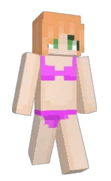 Custom render preview