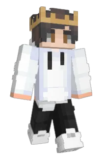 mhoff1 Minecraft avatar full body