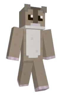 miT8 Minecraft avatar full body