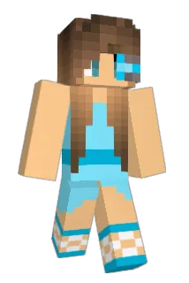 mich345r Minecraft avatar full body