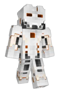 michi55 Minecraft avatar full body