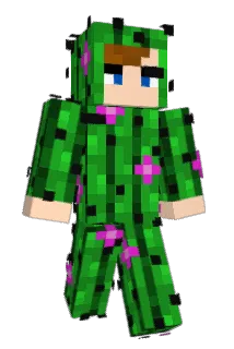 michiganho Minecraft avatar full body