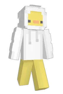michu22113 Minecraft avatar full body