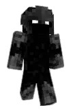 mickeywoodeins Minecraft avatar full body