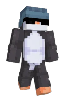 micre1434 Minecraft avatar full body