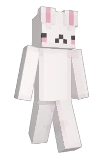 microdollie Minecraft avatar full body