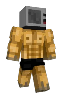 microwave_hmmmmm Minecraft avatar full body