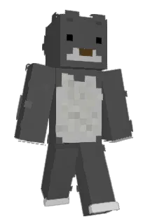 mifedaal Minecraft avatar full body