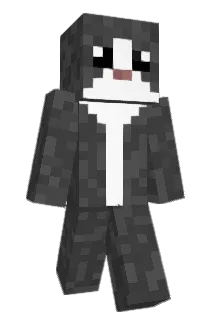 mik_pl Minecraft avatar full body