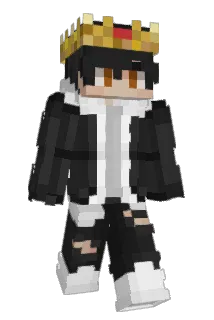 mikkydikkie Minecraft avatar full body
