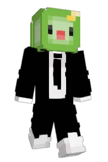 mikotonorin Minecraft avatar full body