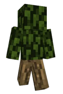millie313 Minecraft avatar full body