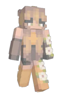 milliemeter Minecraft avatar full body