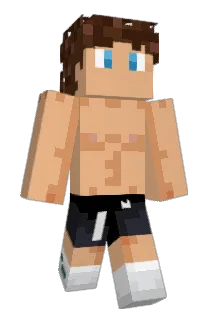 mimito954 Minecraft avatar full body