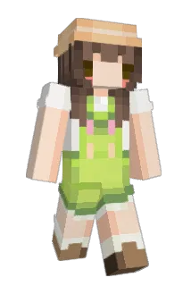 min_2x Minecraft avatar full body