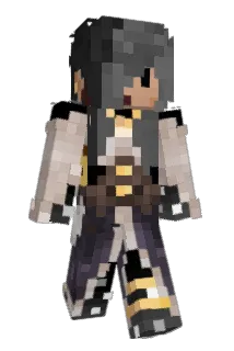 mincedjunk Minecraft avatar full body