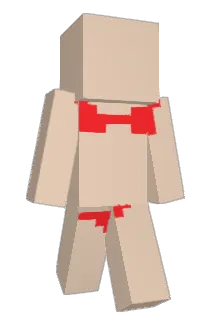 minecrafter1681 Minecraft avatar full body