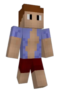 minemaxxi Minecraft avatar full body
