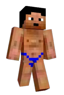 minequentin Minecraft avatar full body