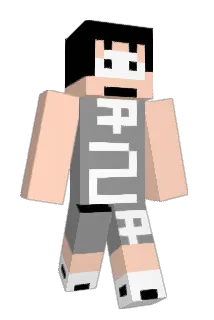 miner0518 Minecraft avatar full body