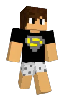 miner102030 Minecraft avatar full body
