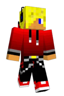 miner9243 Minecraft avatar full body