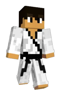 miner_elion Minecraft avatar full body