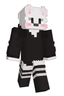 minetwins26 Minecraft avatar full body