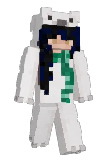 mini_kiwi Minecraft avatar full body