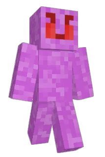 miniflodis Minecraft avatar full body
