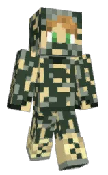 Custom render preview