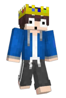 minitechnoblate Minecraft avatar full body