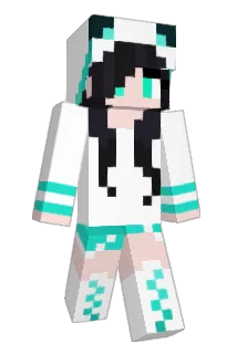 minivanman Minecraft avatar full body