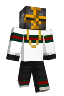 minivanvan Minecraft avatar full body