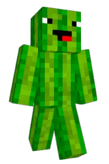 minneskort Minecraft avatar full body