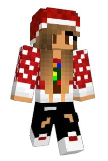 minnid123 Minecraft avatar full body