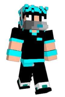 misaelectro79 Minecraft avatar full body