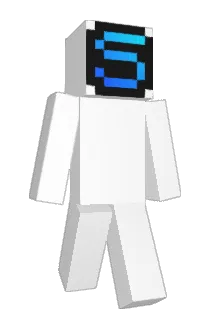 misdirected Minecraft avatar full body