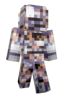 misingno Minecraft avatar full body