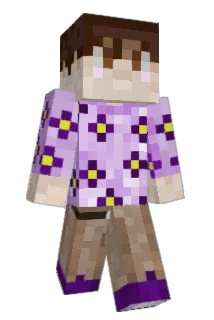 misiuslodki Minecraft avatar full body