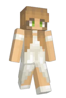missiles17 Minecraft avatar full body