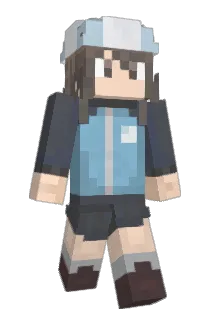 misterdiddler Minecraft avatar full body