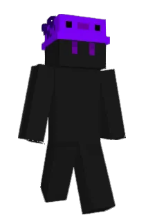 misu445 Minecraft avatar full body