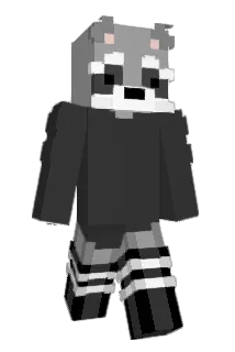 mitzkow2 Minecraft avatar full body