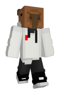 mizui2904 Minecraft avatar full body