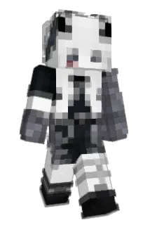 mjijist Minecraft avatar full body